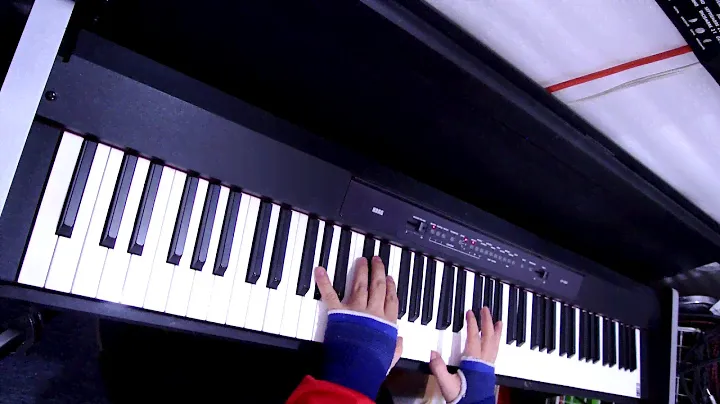 Ground in C Henry Purcell Korg LP 350 Nikon 1 J1 video test