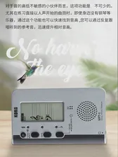 KORG VPT-1 человеческий голосовой тюнер, интонация, прицел, обучение вокалу, тренировка ушей, pentatonic, настройка тона, стол (art.: 3920ba69b877c)