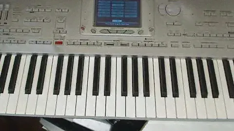KORG PA1X Pro (DEMO songs) styles