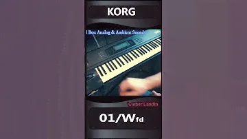 Korg 01/w-fd  Vintage Workstation