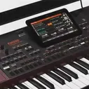 Идеальное упакованное предложение _ Korg PA1000 PA800 PA700 PA600 61 ключевой Профессиональный высокопроизводительный аранжировщик PA 1000