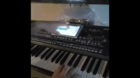 Korg pa900 sandy.pa600.pa3x