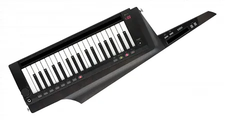 KORG RK100S-2 BK синтезатор-клавиатура-0