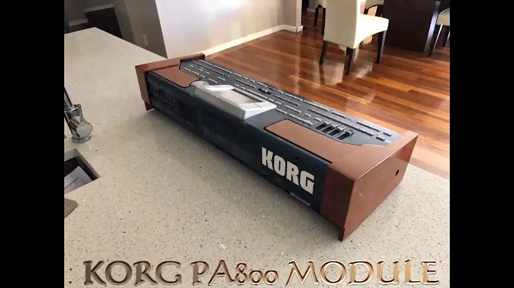 CUSTOM KORG PA800 MODULE