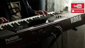 Такого вы ещё не слышали. СУПЕР ЛЕЗГИНКА. ( Korg pa 1000. )
