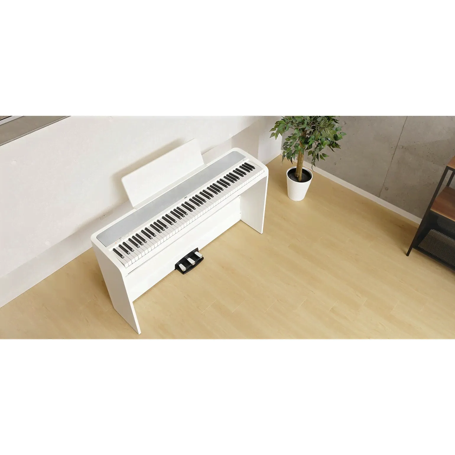 KORG KORG B2SP WH-0
