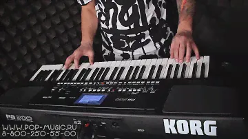 Рабочая станция KORG PA300
