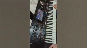 moss sax super korg pa5x