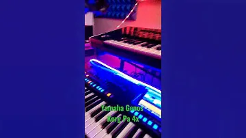 Yamaha Genos & Korg pa 4x
