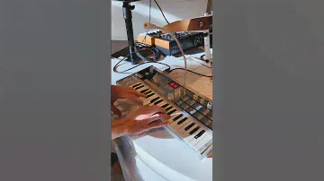 Microkorg Crystal #korg #microkorg #makemoremusic