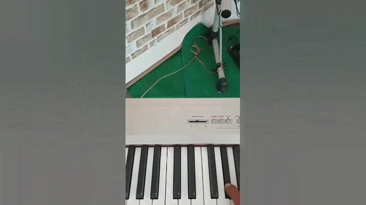 Korg SP-200