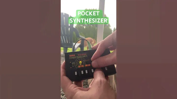 Korg Monotron Delay Pocket Analogue Ribbon Synthesizer in the Wild (Featuring Lottie)