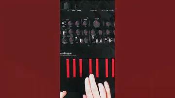 @CircuitKisser on the Korg miniloguebass + Korg prologue = A killer combo for #synthbass bliss ✨