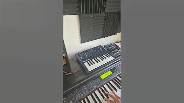 #korg #monologue #Yamaha #cvp #demo 8